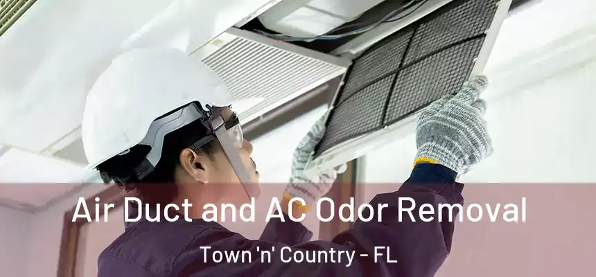 Air Duct and AC Odor Removal Town 'n' Country - FL