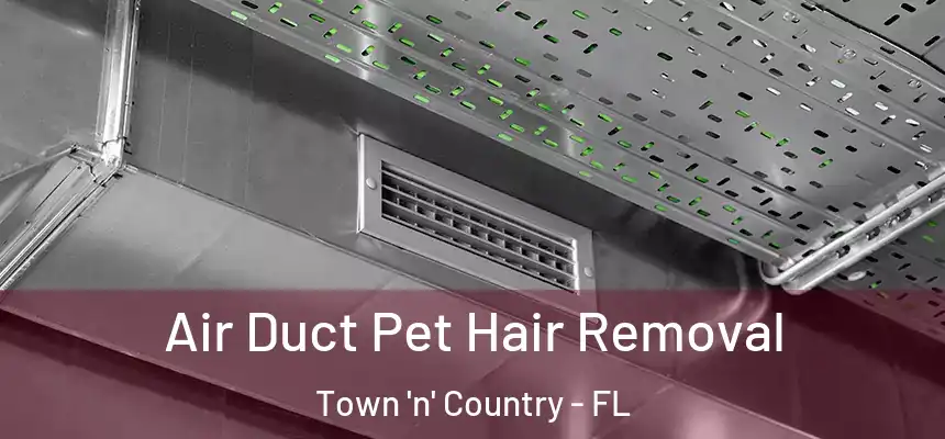 Air Duct Pet Hair Removal Town 'n' Country - FL