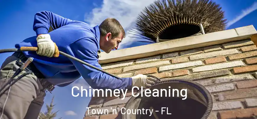 Chimney Cleaning Town 'n' Country - FL