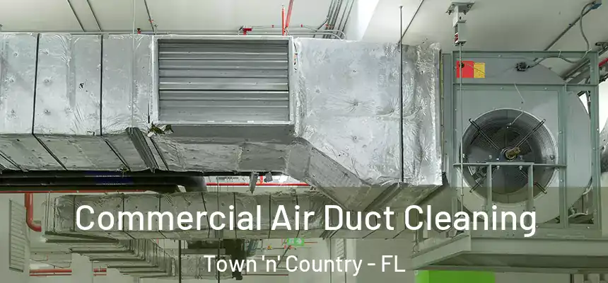 Commercial Air Duct Cleaning Town 'n' Country - FL