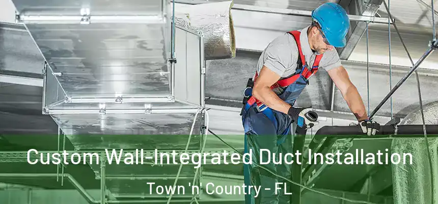 Custom Wall-Integrated Duct Installation Town 'n' Country - FL