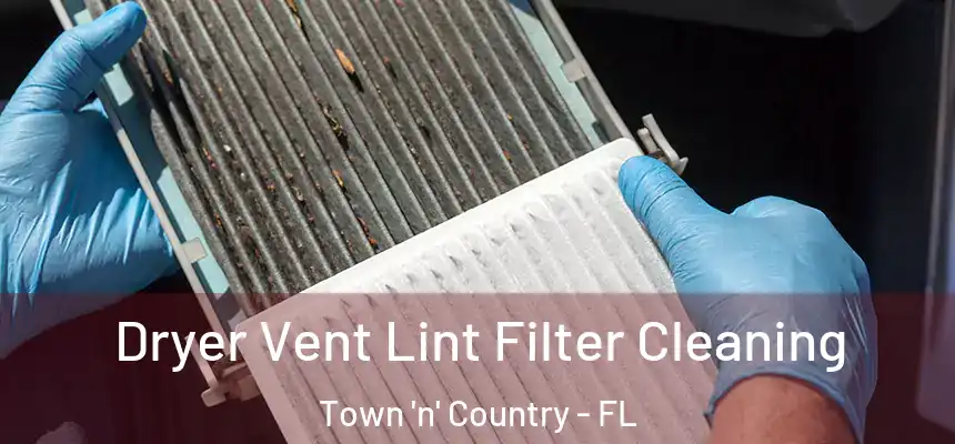 Dryer Vent Lint Filter Cleaning Town 'n' Country - FL