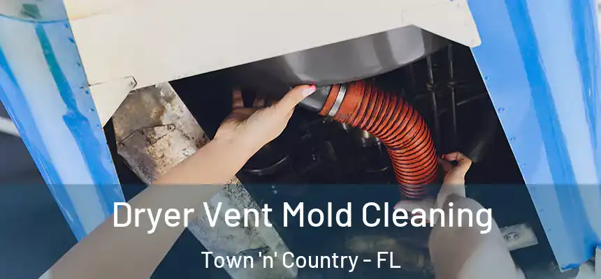 Dryer Vent Mold Cleaning Town 'n' Country - FL