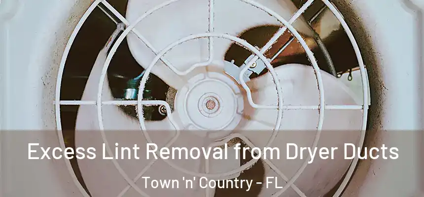 Excess Lint Removal from Dryer Ducts Town 'n' Country - FL