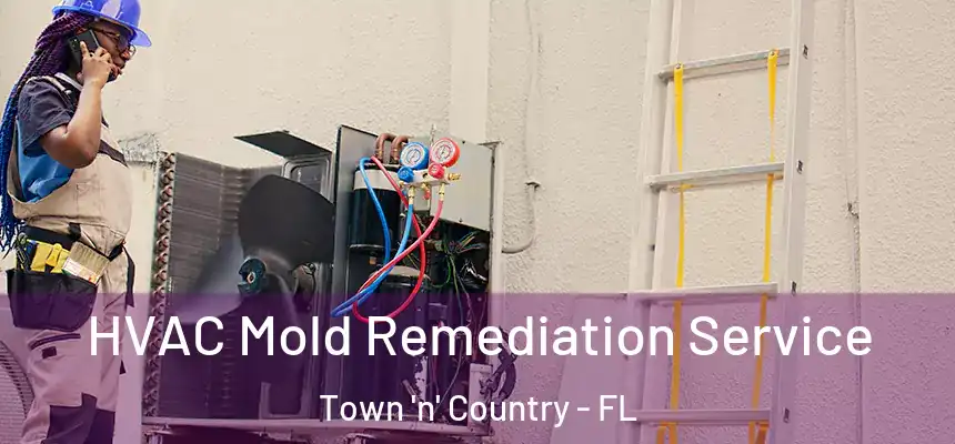 HVAC Mold Remediation Service Town 'n' Country - FL