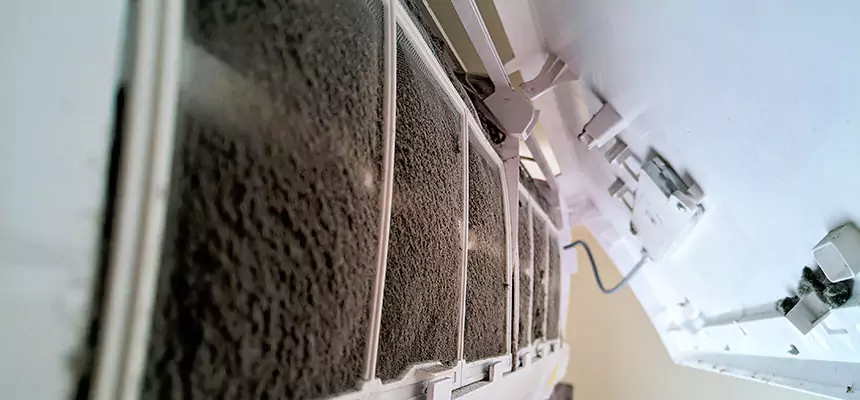 Preventive Air Duct Bacteria Removal in Town 'n' Country