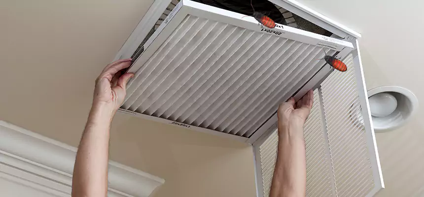 Preventive Cockroach-Proofing for Ducts in Town 'n' Country