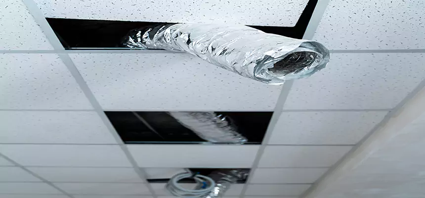 Our Air Duct Pet Hair Removal Services in Town 'n' Country, FL