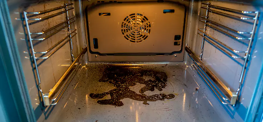 Our Dryer Vent Mold Cleaning Services in Town 'n' Country, FL