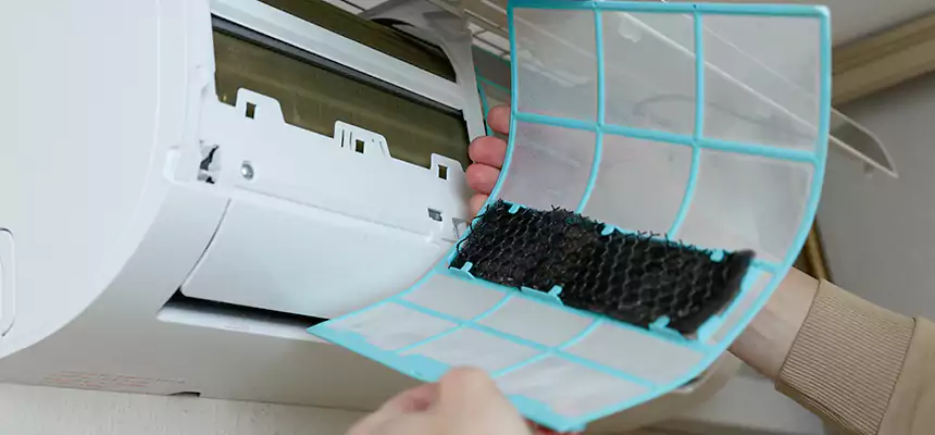 Gentle Ductwork Odor-Control Pet Dander Duct Cleaning in Town 'n' Country, FL