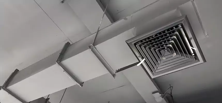 Our Rodent Droppings In Vents Services in Town 'n' Country, FL