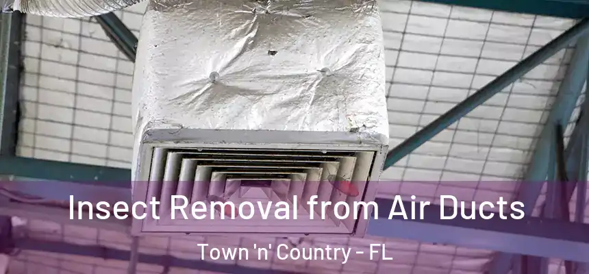 Insect Removal from Air Ducts Town 'n' Country - FL