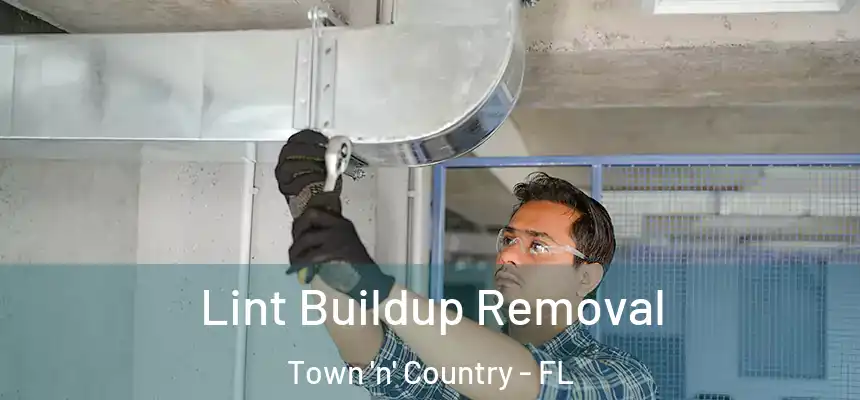 Lint Buildup Removal Town 'n' Country - FL