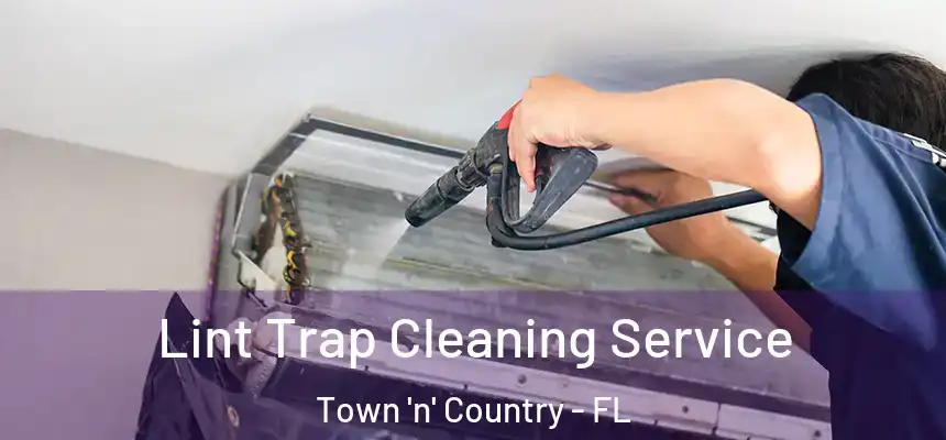 Lint Trap Cleaning Service Town 'n' Country - FL