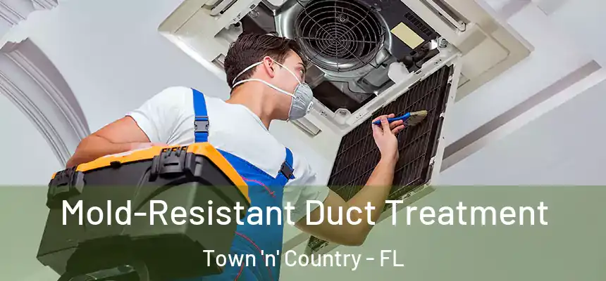 Mold-Resistant Duct Treatment Town 'n' Country - FL