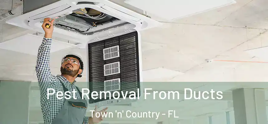Pest Removal From Ducts Town 'n' Country - FL