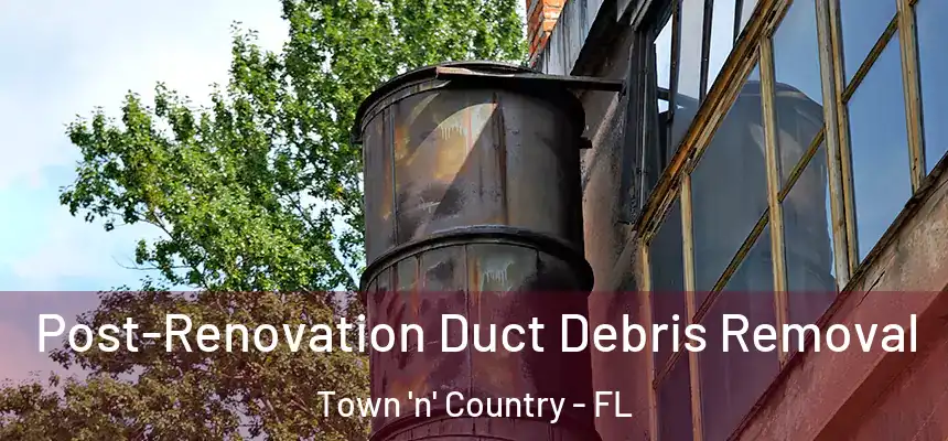 Post-Renovation Duct Debris Removal Town 'n' Country - FL