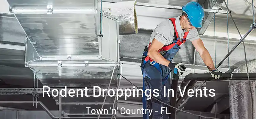 Rodent Droppings In Vents Town 'n' Country - FL