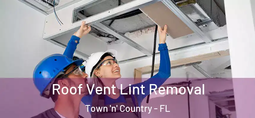 Roof Vent Lint Removal Town 'n' Country - FL