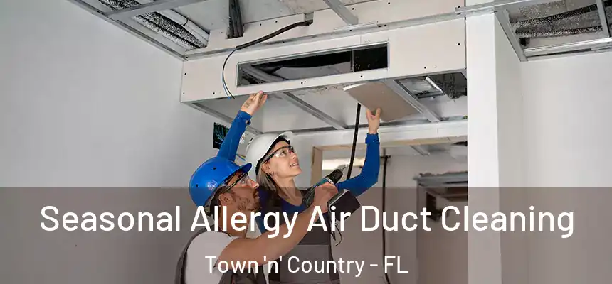Seasonal Allergy Air Duct Cleaning Town 'n' Country - FL