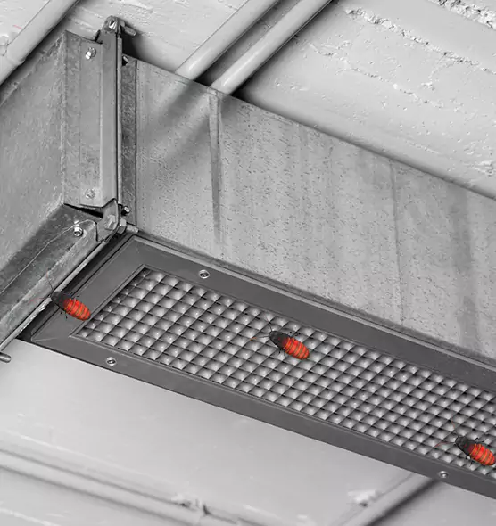 About Air Duct Cockroach Removal in Town 'n' Country, FL