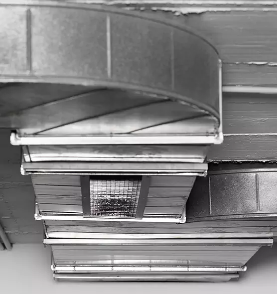 Professional Air Duct Pest Removal in Town 'n' Country, FL