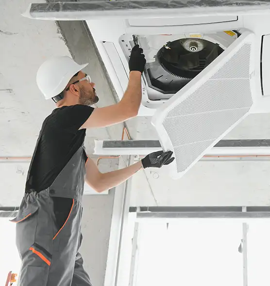 About Air Duct Rodent Removal in Town 'n' Country, FL