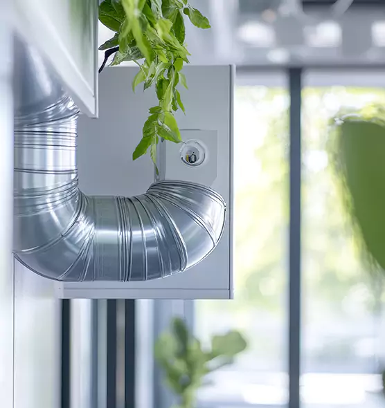 Professional Eco-Friendly Duct Cleaning Services in Town 'n' Country, FL