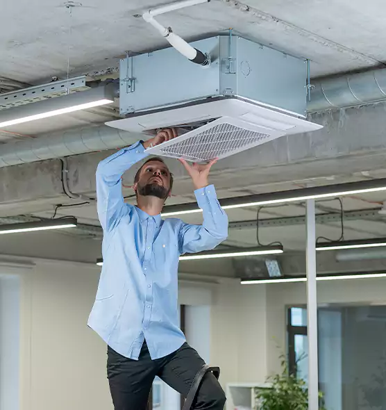 Advanced Rodent Droppings In Vents in Town 'n' Country, FL