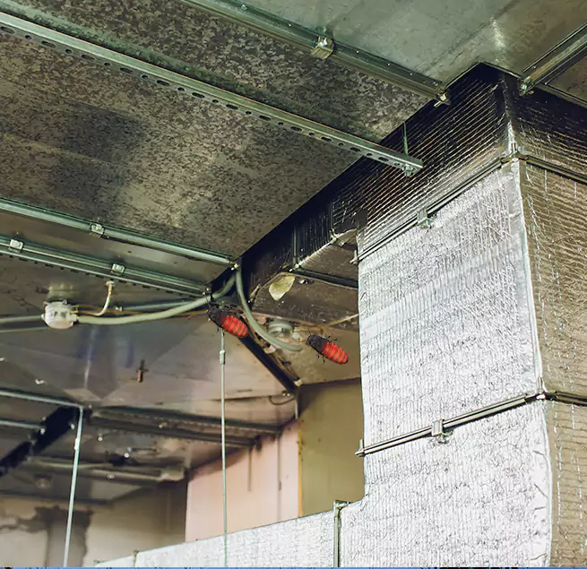 Why Homeowners & Businesses Trust Us in Town 'n' Country, FL?