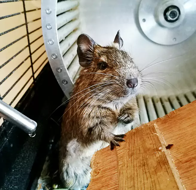 Why Homeowners & Businesses Trust Us Town 'n' Country, FL?