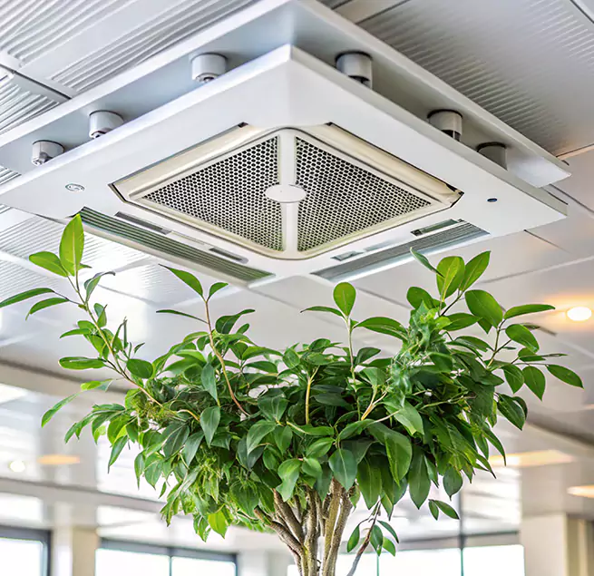 Why Homeowners & Businesses Trust Us in Town 'n' Country, FL?