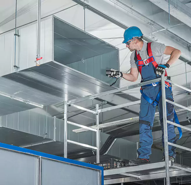 Why Homeowners & Businesses Trust Us in Town 'n' Country, FL?