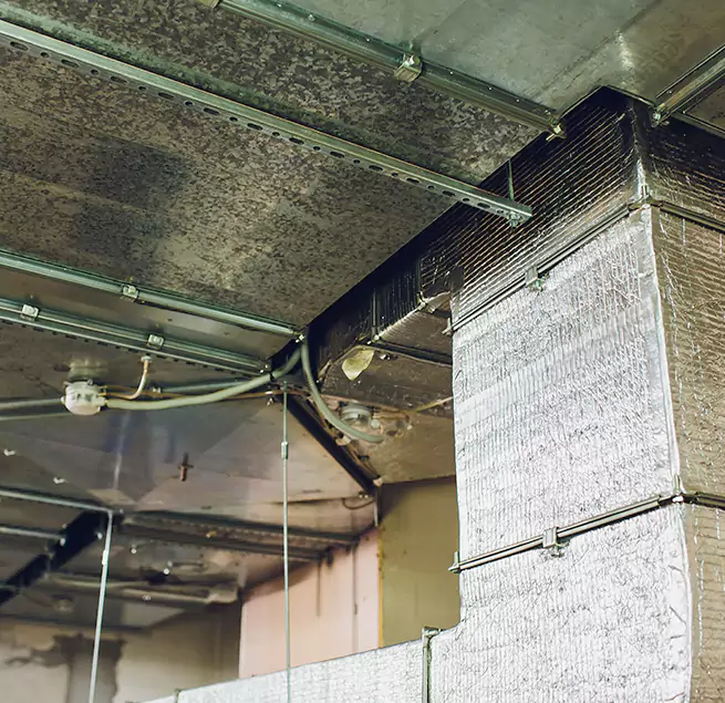 Why Homeowners & Businesses Trust Us in Town 'n' Country, FL?