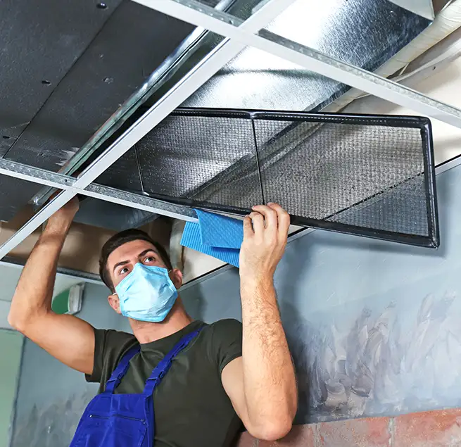 Why Homeowners & Businesses Trust Us in Town 'n' Country, FL?