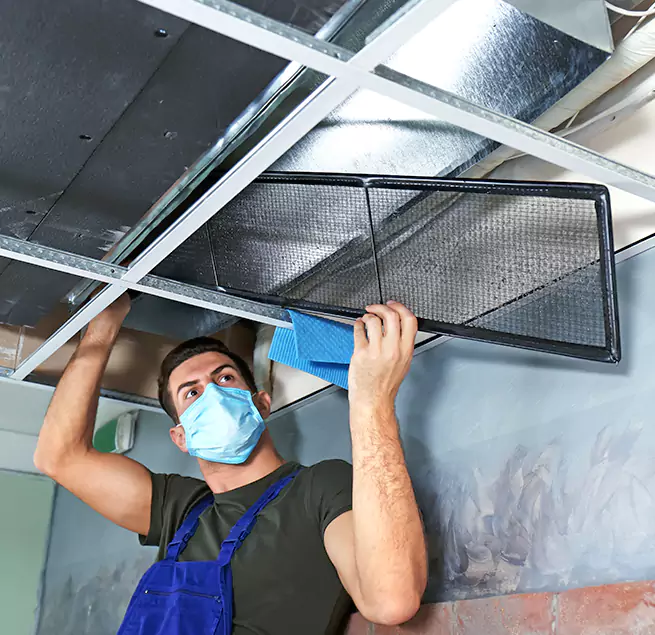 Why Homeowners & Businesses Trust Us in Town 'n' Country, FL?