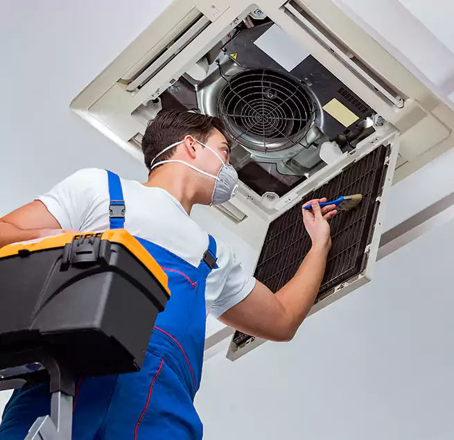 Why Homeowners & Businesses Trust Us in Town 'n' Country, FL?