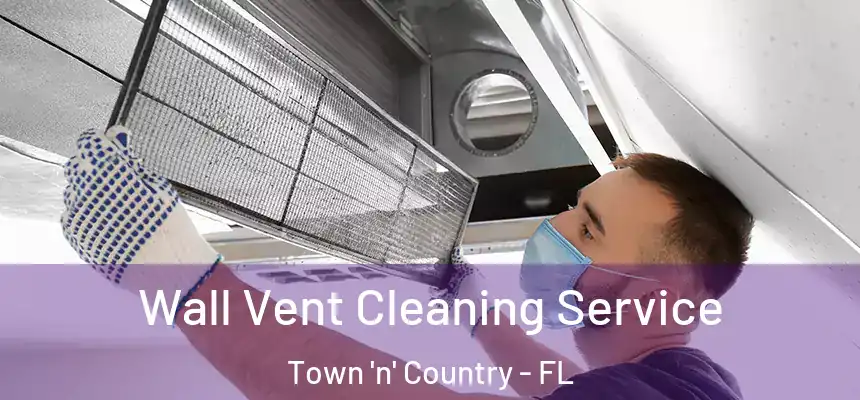 Wall Vent Cleaning Service Town 'n' Country - FL