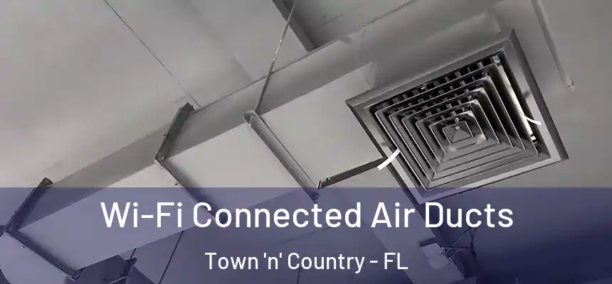 Wi-Fi Connected Air Ducts Town 'n' Country - FL